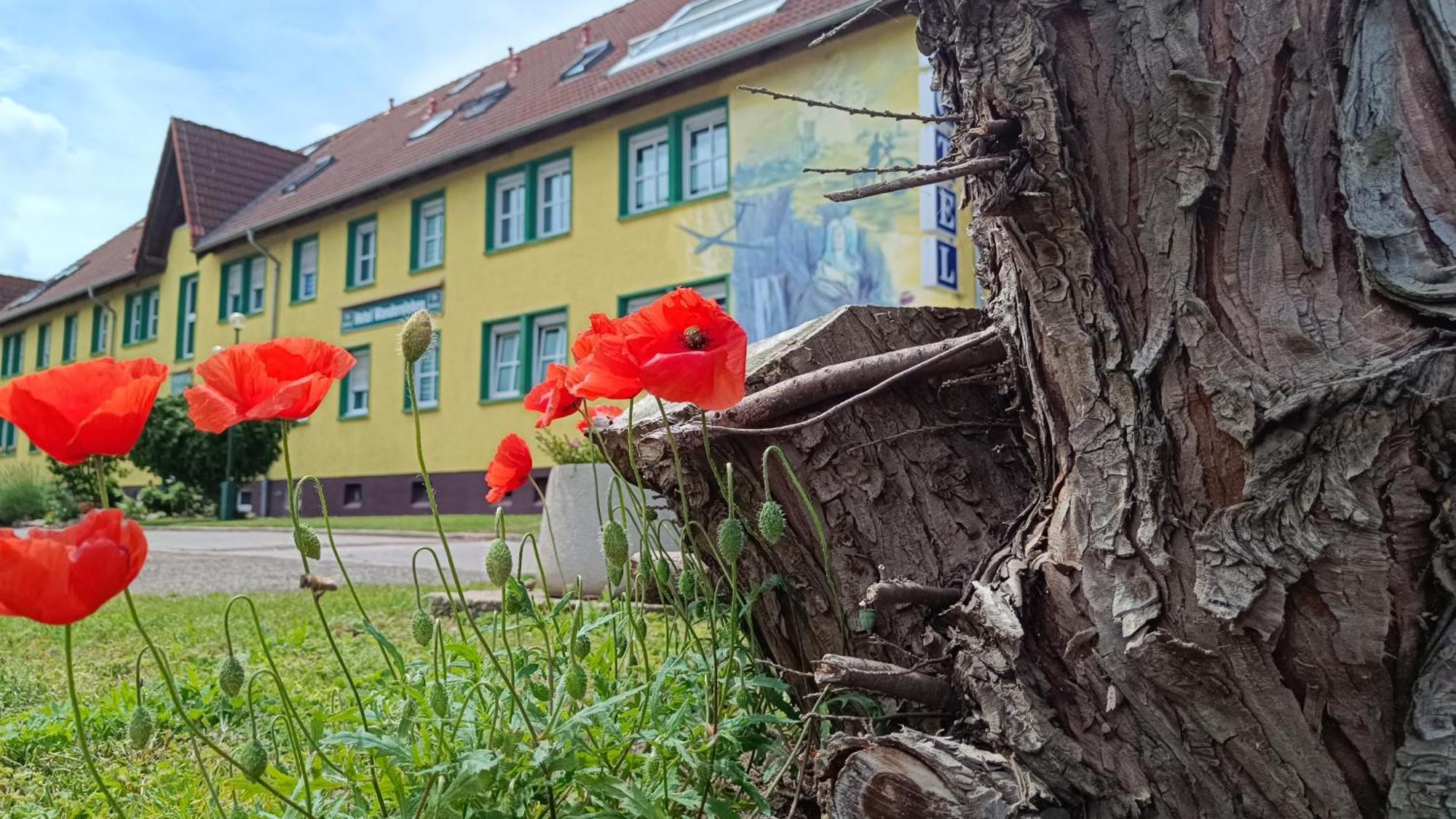 Hotel Wandersleben - Erfurt Exteriör bild